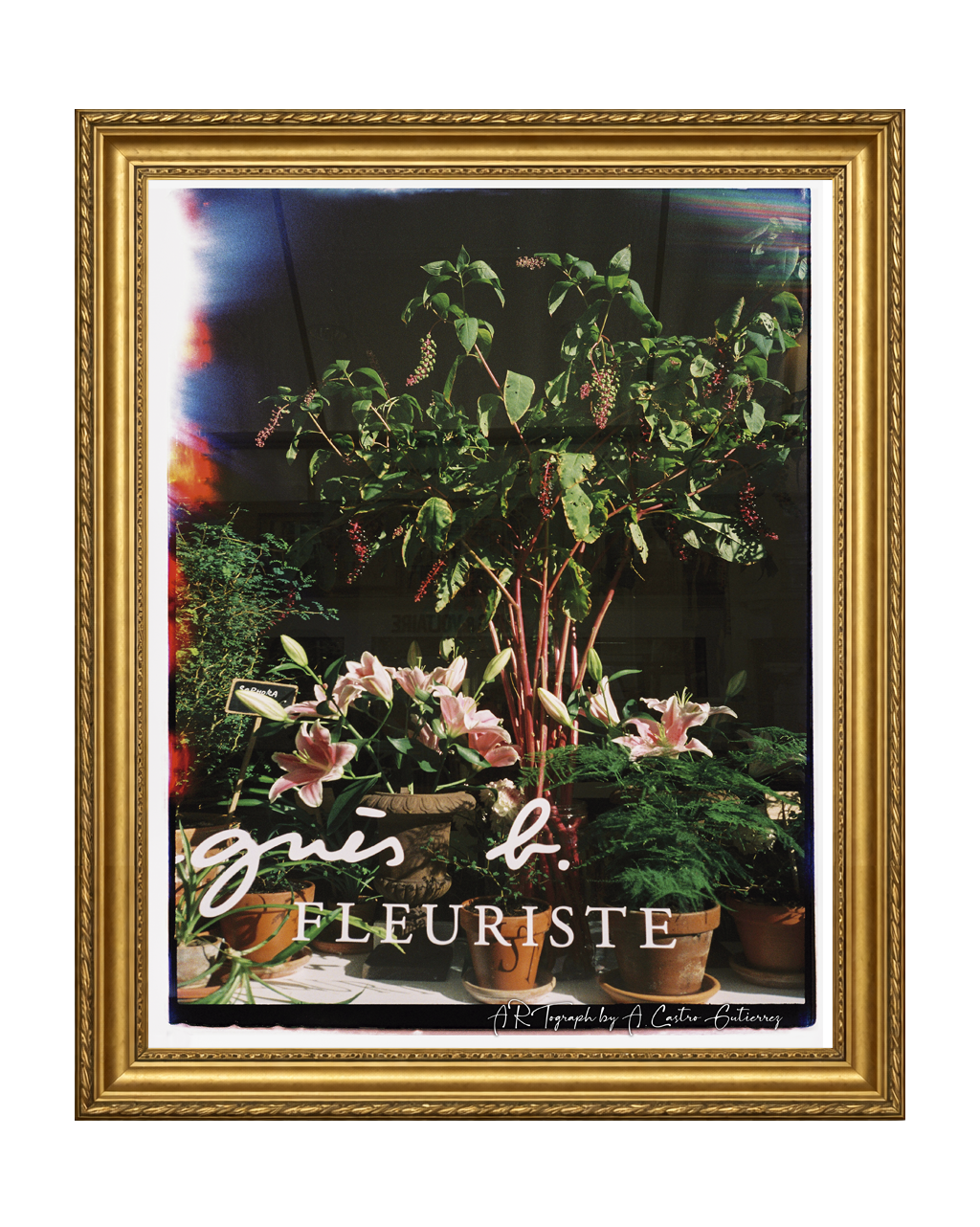 Flowers in Paris T-Shirt