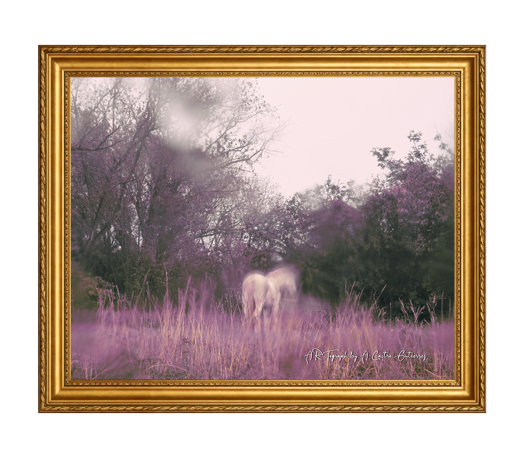 The Galician unicorn T-Shirt