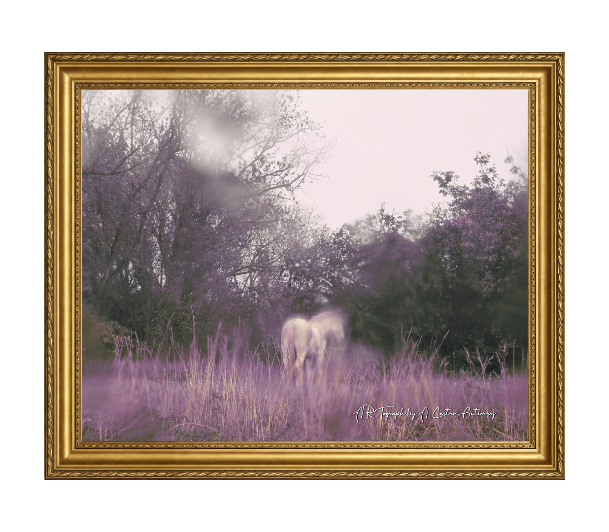 The Galician unicorn T-Shirt